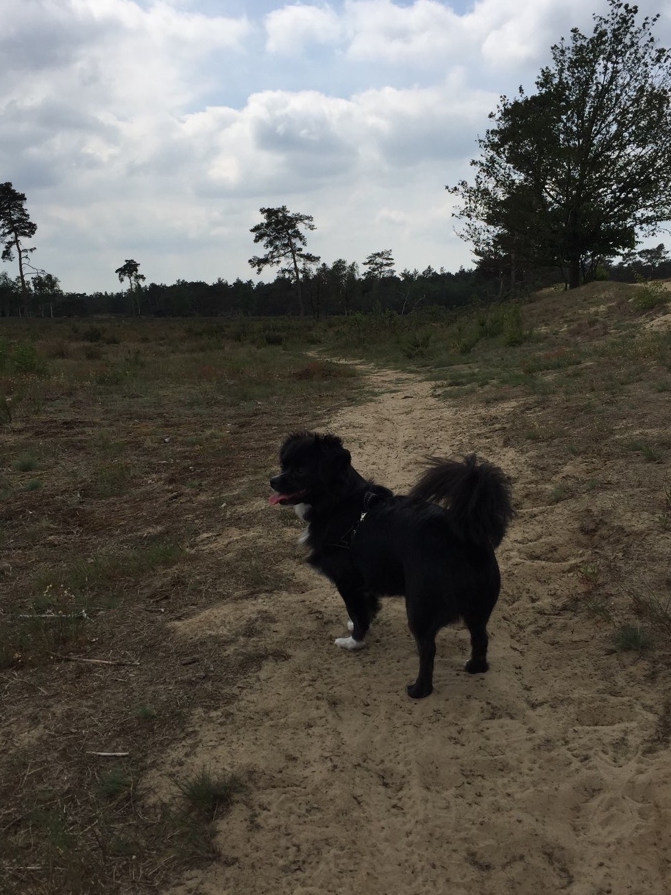 Lekker buiten wandelen in de natuur 