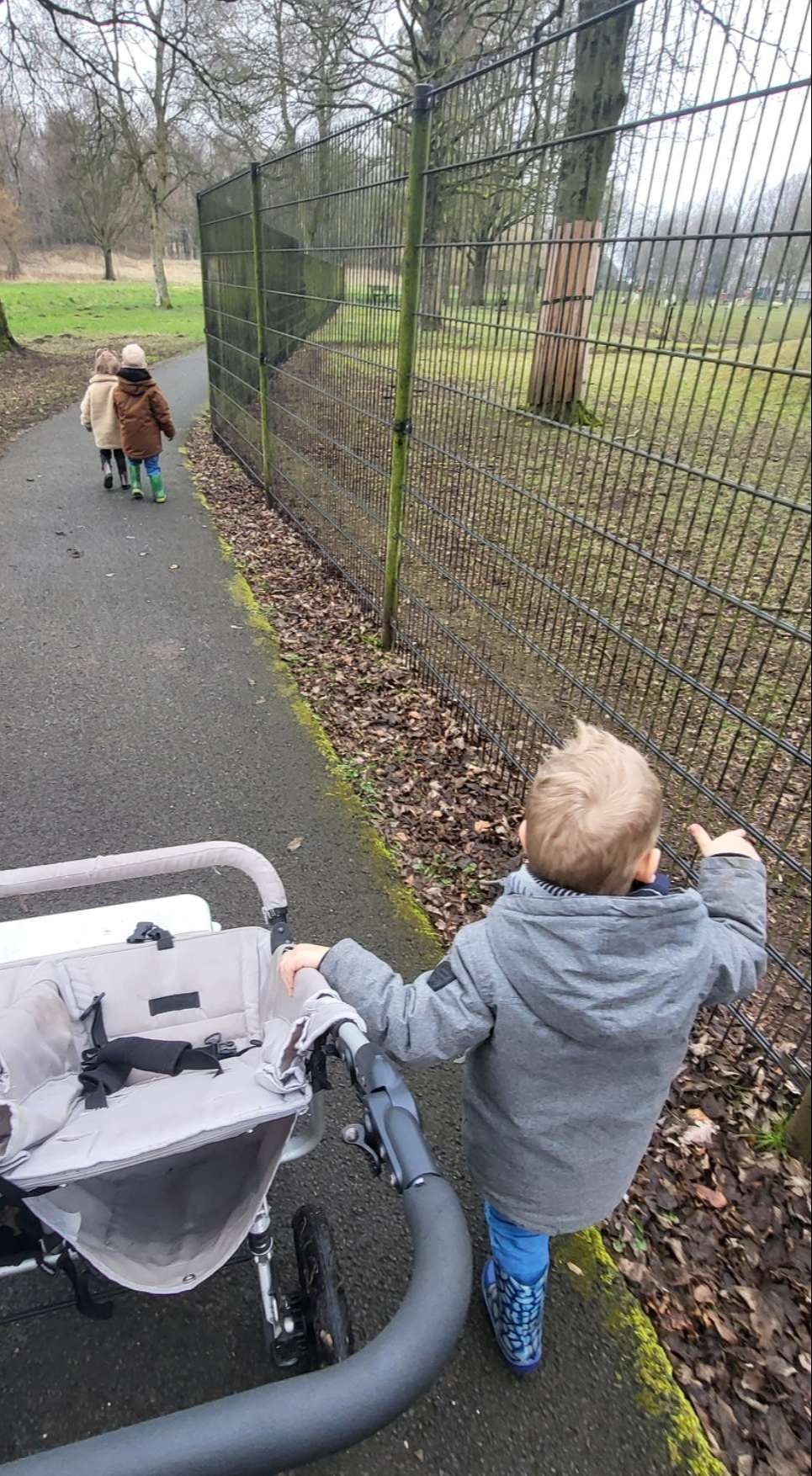 Wandelen bij de dierenweide