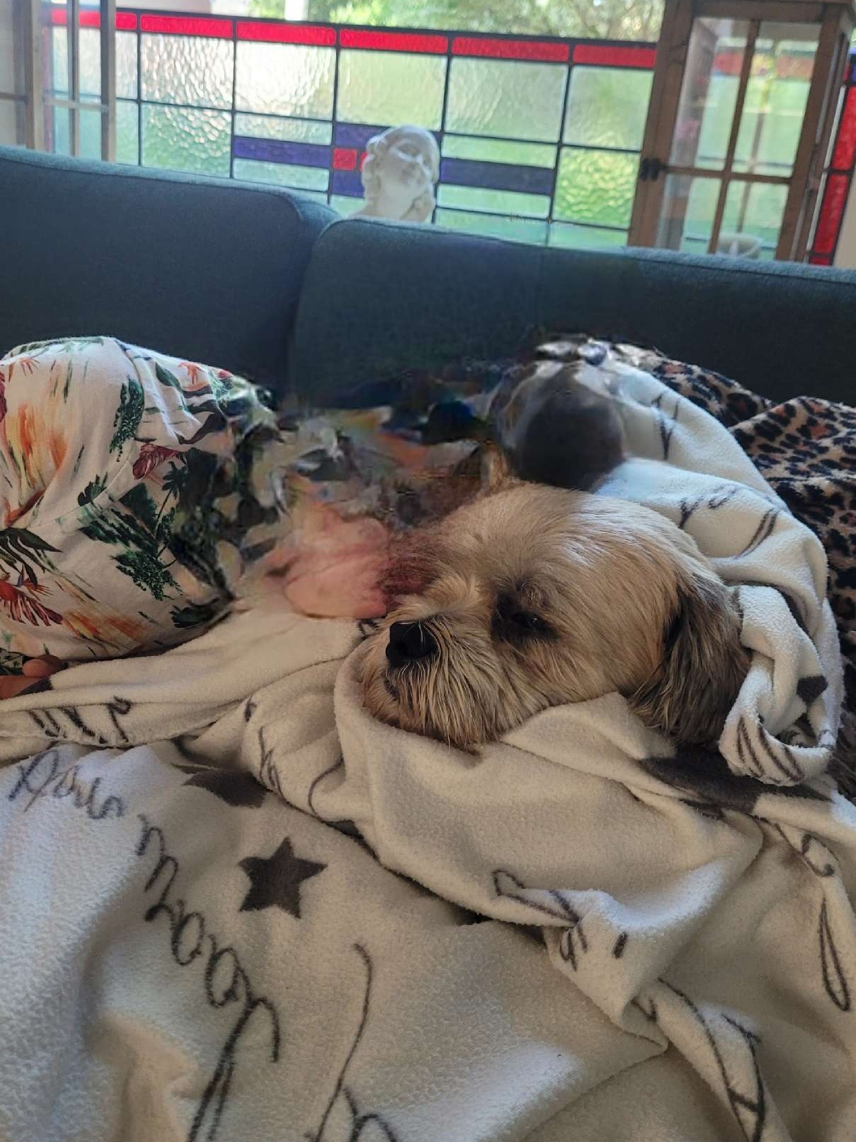 gastkind knuffelend met onze Rakker