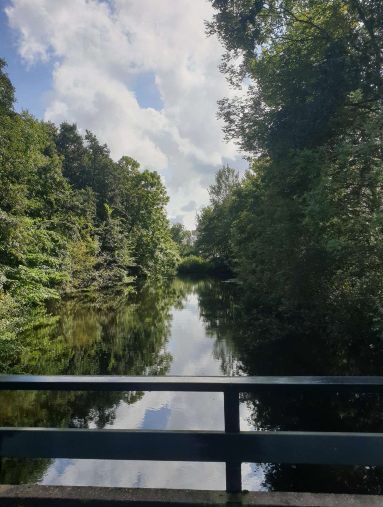 Lekker wandelen in de wijk 't Laar