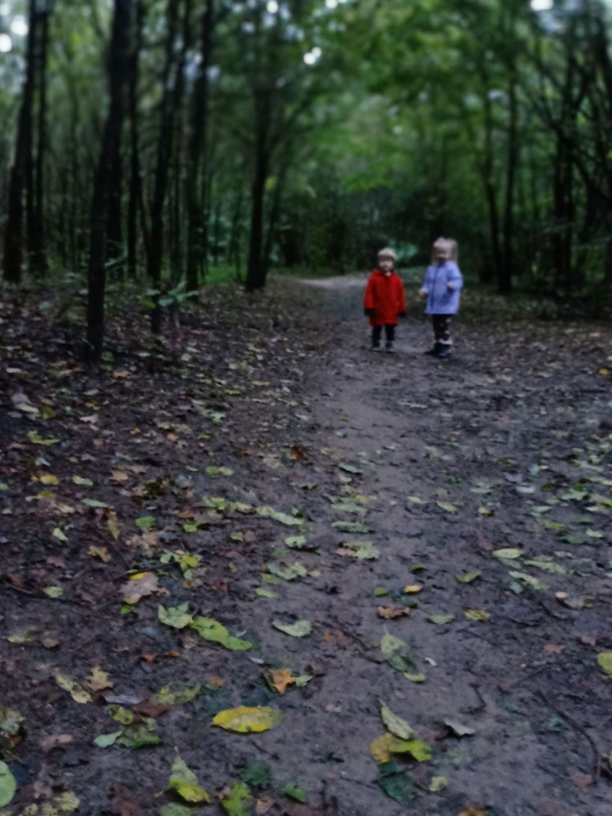 In de herfst nootjes zoeken