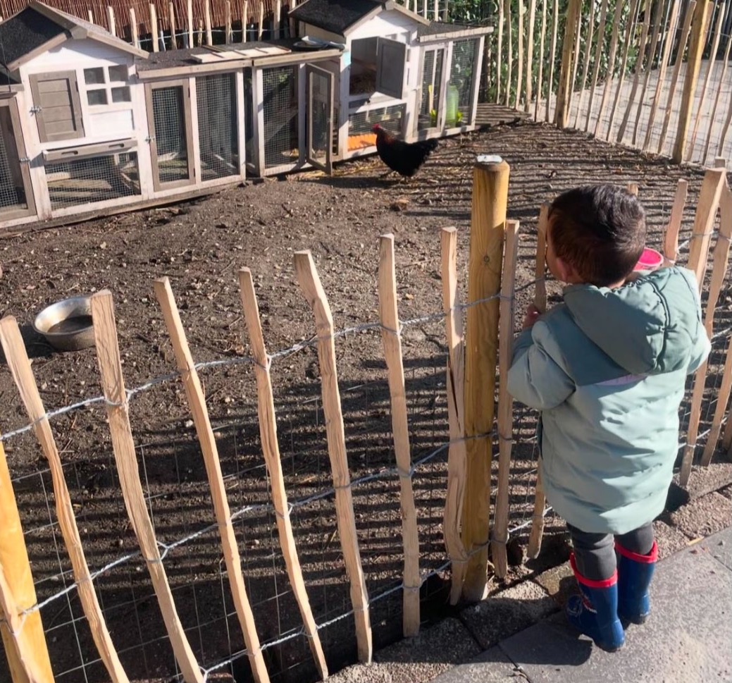 Kippen verzorgen we samen