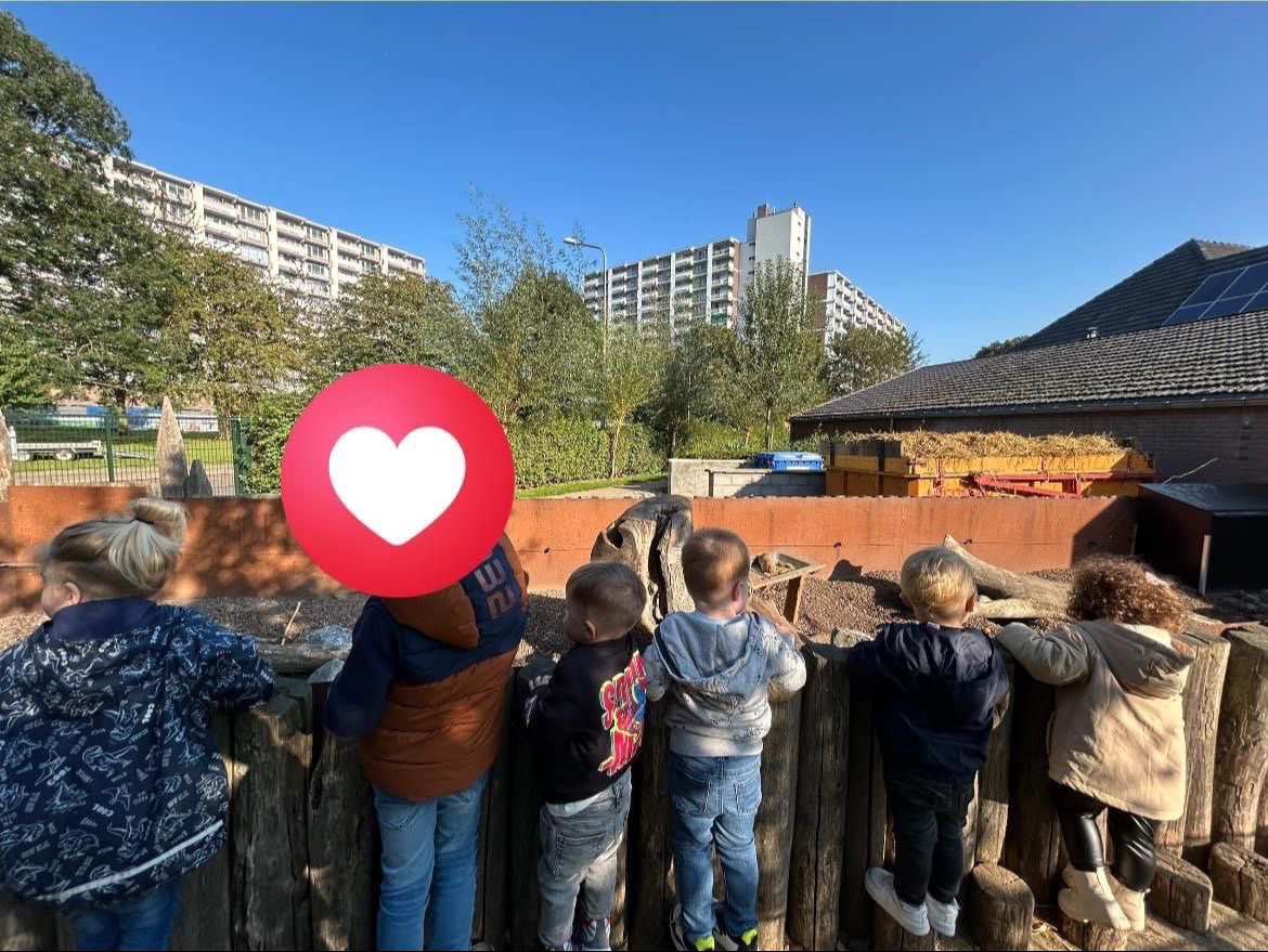 Uitstapje naar de kinderboerderij