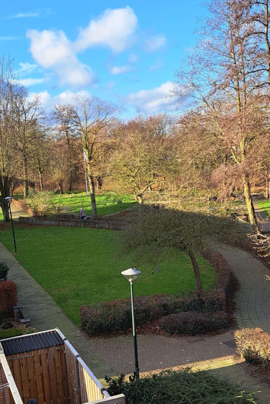 Grasveld gelegen naast onze woning