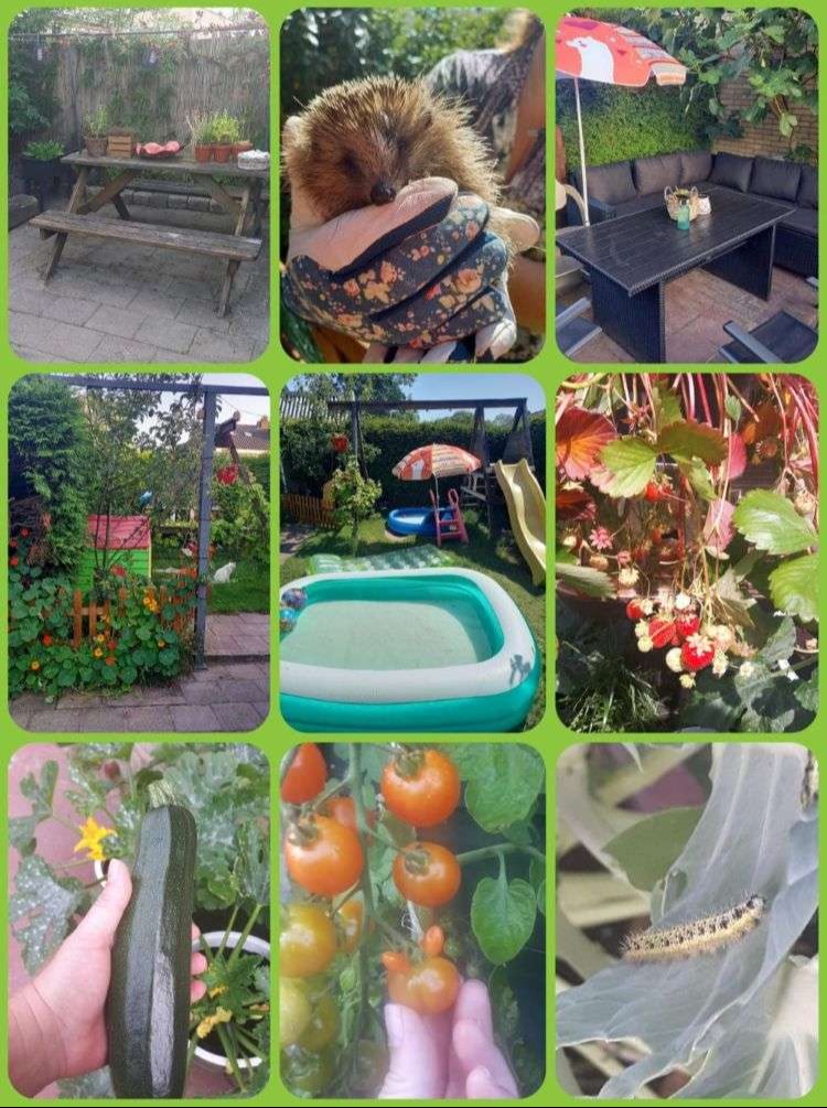 Onze tuin