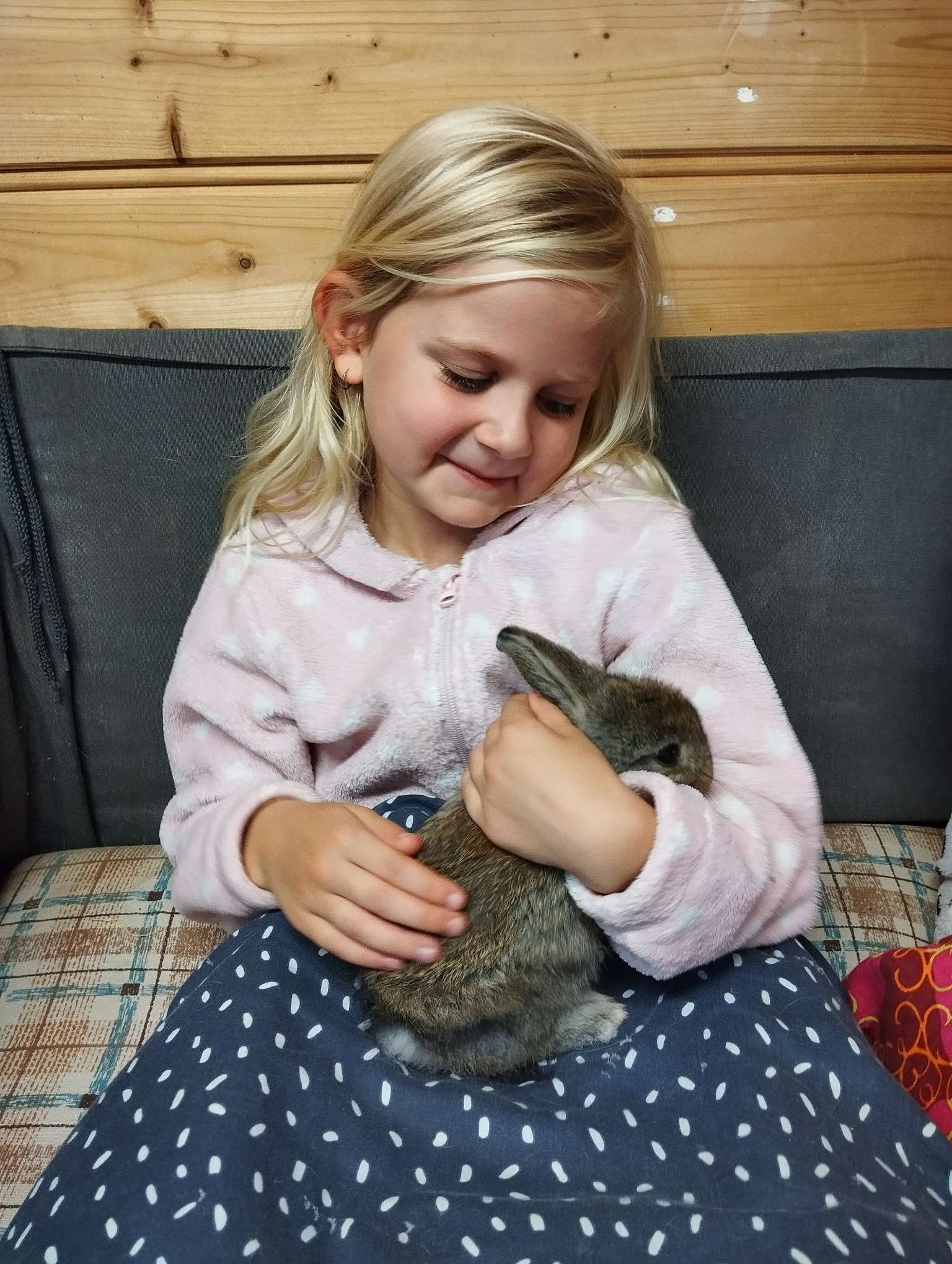 Knuffelen met de diertjes