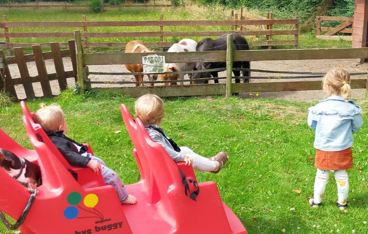 Bij de paarden van de buren kijken.