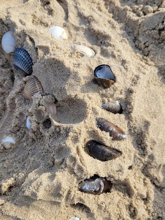 Een dagje lekker naar het strand