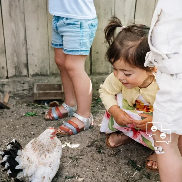 Header basisdoel 3 Sociale competenties